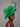 Ascot Style 43 Shamrock