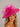 Ascot Style 54  Fuchsia