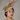 Ascot Style 17 Champagne Multi