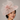 Ascot Style 19 Rose