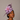 Ascot Style 25 Lilac