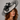 Ascot Style 28 Ivory/Black