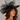 Ascot Style 30 Black
