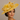 Ascot Style 33 Yellow
