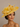Ascot Style 33 Yellow