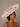 Ascot Style 35 Blush