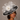 Ascot Style 36 Black/White