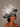 Ascot Style 36 Black/White