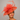 Ascot Style 4 Orange