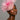 Ascot Style 52 Pink