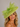 Ascot Style 64 Lime, suitable for weddings and special occasions