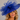 Ascot Style 66 Royal, suitable for weddings and special occasions