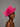 Ascot Style 69 Fuchsia, suitable for weddings and special occasions