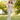 Carla Ruiz 98429 - Mother of the Bride Dress | Sean Rayment Manchester