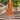 Carla Ruiz 99643 Orange Dress - Mother of the Bride A-line Dress | Sean Rayment Manchester