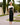 Couture Club 1G96 Black/Ivory