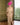 Couture Club 1GE3 Fuchsia/Gold - Mother of the Bride Dress | Sean Rayment Manchester
