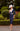 Invitations by Veni 29820 Navy/Ivory - Mother of the Bride Dress | Sean Rayment Manchester