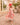 Invitations by Veni 36001 Fuxia Coral - Mother of the Bride A-line Dress | Sean Rayment Manchester