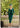 John Charles 29171A Forest Green Dress - Mother of the Bride Dress | Sean Rayment Manchester