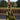 Marfil 9JH4 Yellow/Black - Mother of the Bride A-line Dress | Sean Rayment Manchester