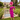 Veni Infantino 992442 Magenta