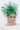 Snoxell Gwyther Hat 2045 - Shamrock, suitable for weddings and special occasions