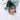 Snoxell Gwyther Hat 688 - Forest Green, suitable for weddings and special occasions