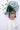 Snoxell Gwyther Hat 688 - Forest Green, suitable for weddings and special occasions