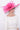 Snoxell Gwyther Hat 806 - Candy, suitable for weddings and special occasions