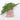 Style 20089 Garden Flora / Flora Wild 2026, suitable for weddings and special occasions