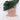Style 39 - Elm Green 2026, suitable for weddings and special occasions