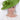 Style 39 - Fern 2026, suitable for weddings and special occasions