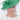 Style 39 - Shamrock 2026, suitable for weddings and special occasions
