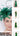 The Niche Collection Hat 23004 - Kelly Green, suitable for weddings and special occasions