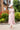Veni Infantino 991732 - Sparkle chiffon dress - Mother of the Bride A-line Dress | Sean Rayment Manchester