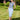 Veni Infantino 991851 Cornflower - Mother of the Bride Dress | Sean Rayment Manchester