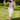 Veni Infantino 991851 Platinum - Mother of the Bride Dress | Sean Rayment Manchester