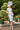 Veni Infantino 991854 - Mother of the Bride Dress | Sean Rayment Manchester