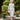 Veni Infantino 991854 - Mother of the Bride Dress | Sean Rayment Manchester