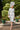 Veni Infantino 991854 - Mother of the Bride Dress | Sean Rayment Manchester
