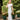 Veni Infantino 991855B Silver/Ivory - Mother of the Bride Dress | Sean Rayment Manchester
