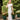 Veni Infantino 991855B Taupe/Ivory - Mother of the Bride Dress | Sean Rayment Manchester