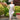 Veni Infantino 991857 - Mother of the Bride Dress | Sean Rayment Manchester