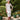 Veni Infantino 991878 - Mother of the Bride Dress | Sean Rayment Manchester