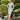 Veni Infantino 991890S Pale Blue - Mother of the Bride Dress | Sean Rayment Manchester