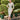 Veni Infantino 991890S Silver - Mother of the Bride Dress | Sean Rayment Manchester
