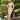 Veni Infantino 991890S Vintage Rose - Mother of the Bride Dress | Sean Rayment Manchester