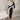 Veni Infantino 992135 Navy/Champagne - Mother of the Bride Dress | Sean Rayment Manchester