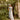 Veni Infantino 992212 Sage/Ivory - Mother of the Bride A-line Dress | Sean Rayment Manchester